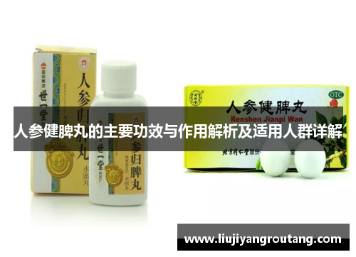 人参健脾丸的主要功效与作用解析及适用人群详解