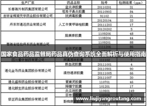 国家食品药品监督局药品真伪查询系统全面解析与使用指南